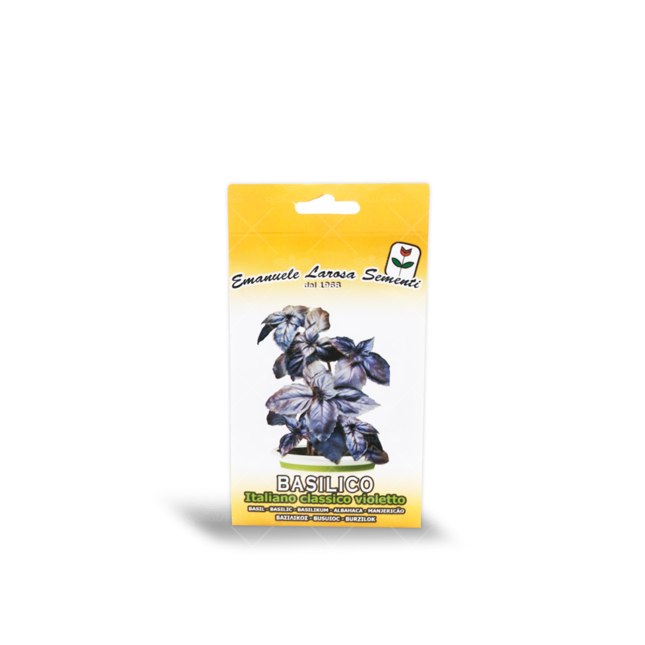 بذر ریحان بنفش ایتالیایی 1