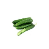 عکس کوچک بذر خیار درختی پرگل
