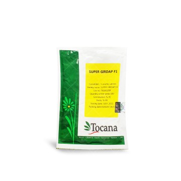 بذر خیار گلخانه ای سوپر گیرداپ