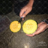 عکس کوچک بذر ملون گلخانه ای جگوار F1 تیپ جانا 2