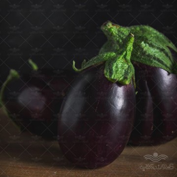 بذر بادمجان دلمه ای کیان بذر خانگی