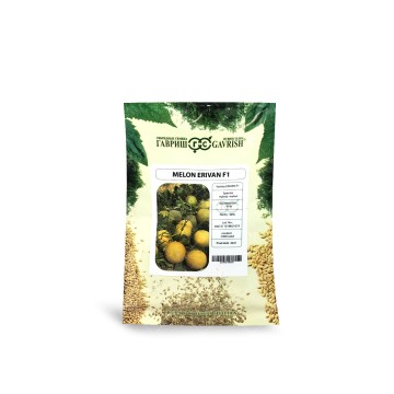 بذر ملون گالیا اریوان Erivan F1 گاوریش روسیه 1000 عددی