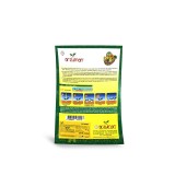 عکس کوچک بذر کلم پیچ سبز ترک 10 گرمی آرزومان 2