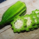 عکس کوچک بذر بامیه کیان سید