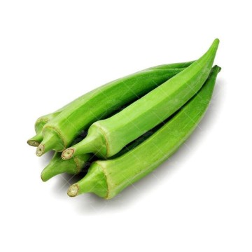 بذر بامیه پویاسید