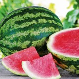 عکس کوچک بذر هندوانه کریمسون وانیاسید