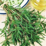 عکس کوچک بذر سبزی مرزه