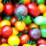 عکس کوچک بذر گوجه فرنگی میکس درشت