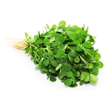 بذر سبزی شنبلیله کیان سید
