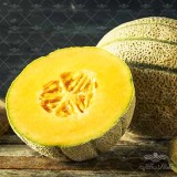 عکس کوچک بذر خربزه ملون راک استار