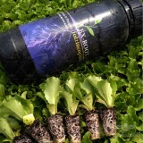 عکس کوچک کود ایکس روت قویترین ریشه زای فوری 2
