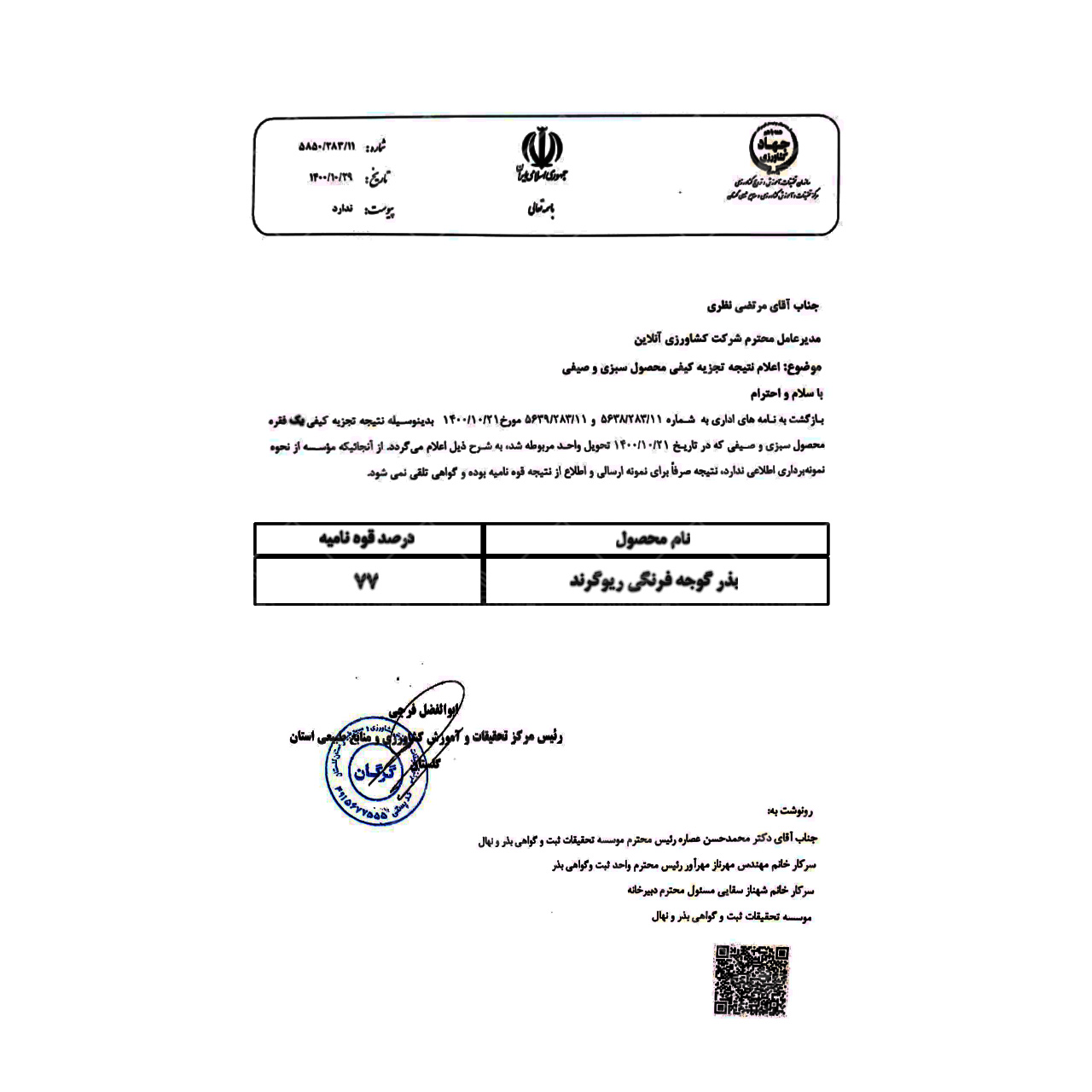 بذر گوجه فرنگی ریوگرند هلند نیم کیلویی 2