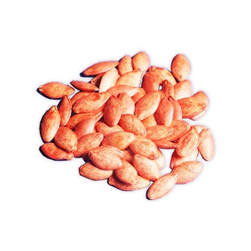 بذر کدو خورشتی هیبرید خانگی