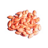 عکس کوچک بذر کدو خورشتی هیبرید خانگی