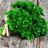 عکس کوچک بذر جعفری مجعد ترک 10 گرمی simagro