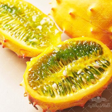 بذر خیار آفریقایی ایتالیایی