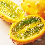 عکس کوچک بذر خیار آفریقایی ایتالیایی