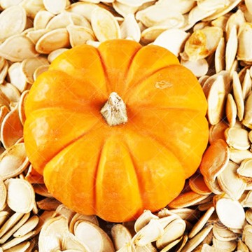 بذر کدو پوست کاغذی آرکا بذر ایرانیان