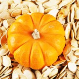 عکس کوچک بذر کدو پوست کاغذی آرکا بذر ایرانیان