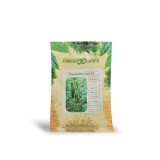 عکس کوچک بذر خیار گلخانه ای میان گل فاریس 500 عددی از شرکت گاوریش روسیه