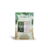 عکس کوچک بذر خیار گلخانه ای مینی پرگل مینی استار  1000 عددی