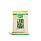 عکس کوچک بذر خیار گلخانه ای تک گل پنتر تایلند 500 عددی