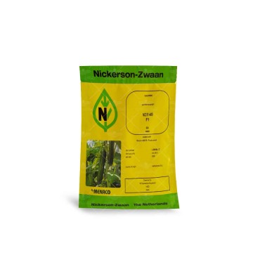 بذر خیار گلخانه ای نیکرسون 485 مناسب کشت پاییز و زمستان 500 عددی