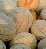 عکس کوچک بذر ملون یا خربزه جانا خانگی ده عددی