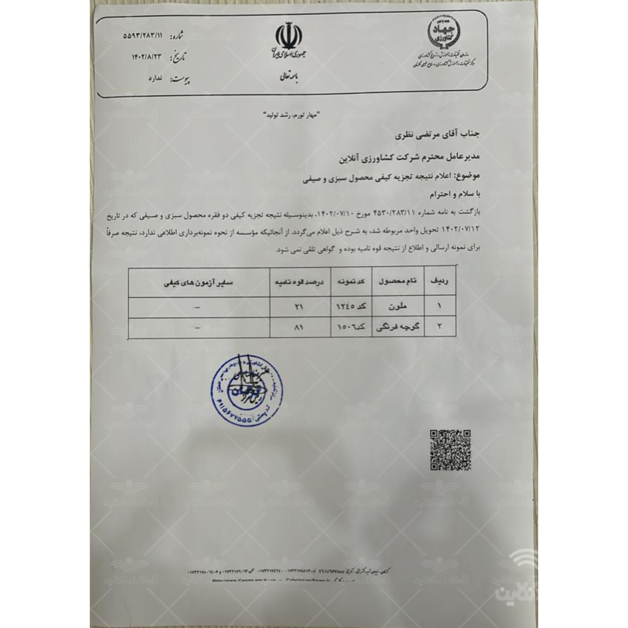 بذر گوجه فرنگی سوپر چف بیکر هلند 100 گرمی 3