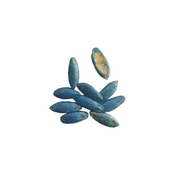 بذر خیار گلخانه ای ام آر سی 07 خانگی 10 عددی
