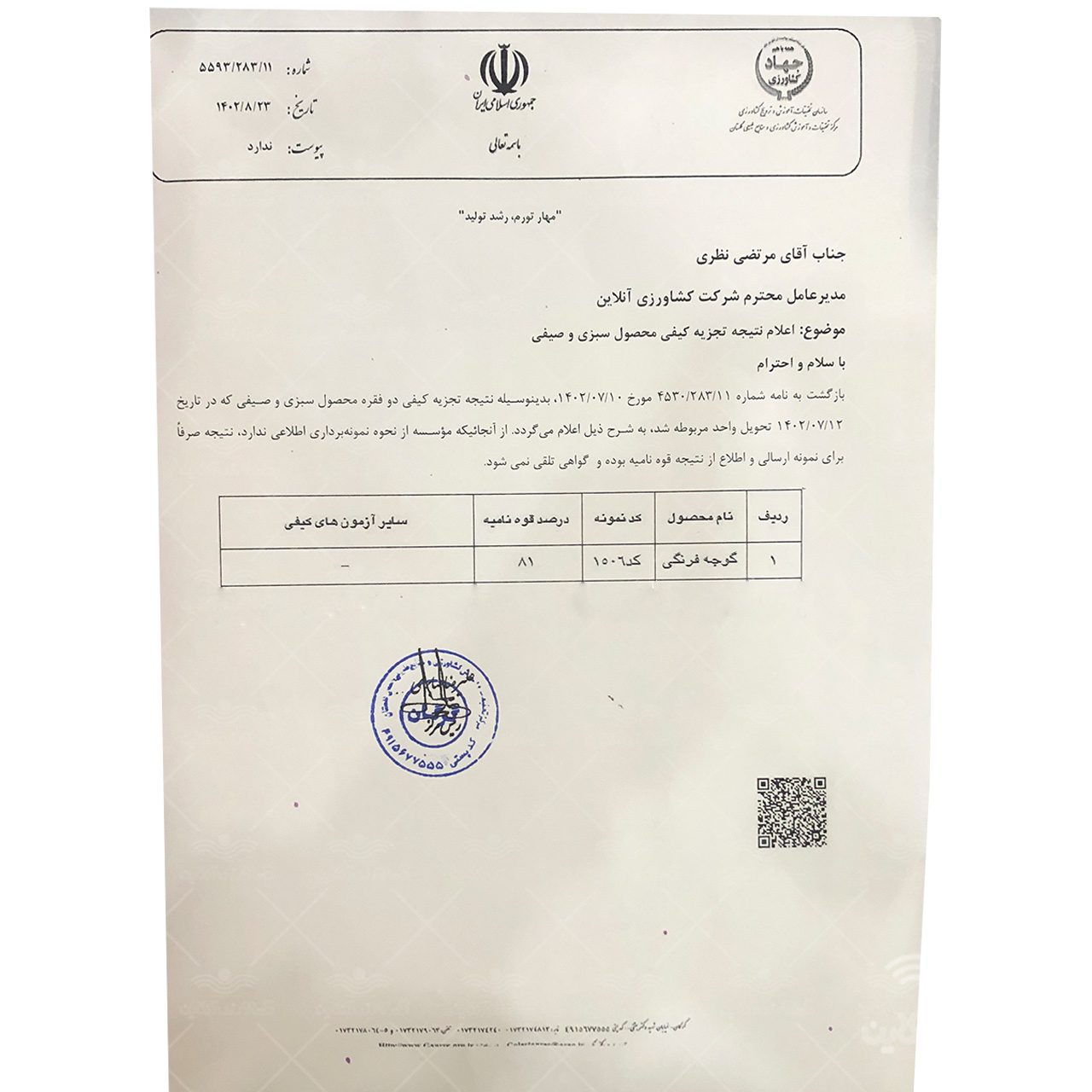 بذر گوجه سوپرچف بیکر هلند 2
