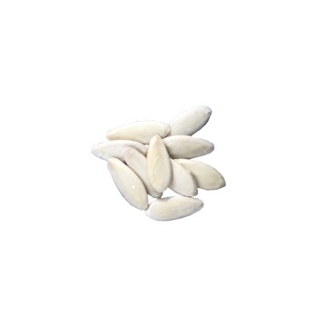 بذر خیار درختی پرگل گلخانه ای وزیر در بسته های خانگی 10 عددی