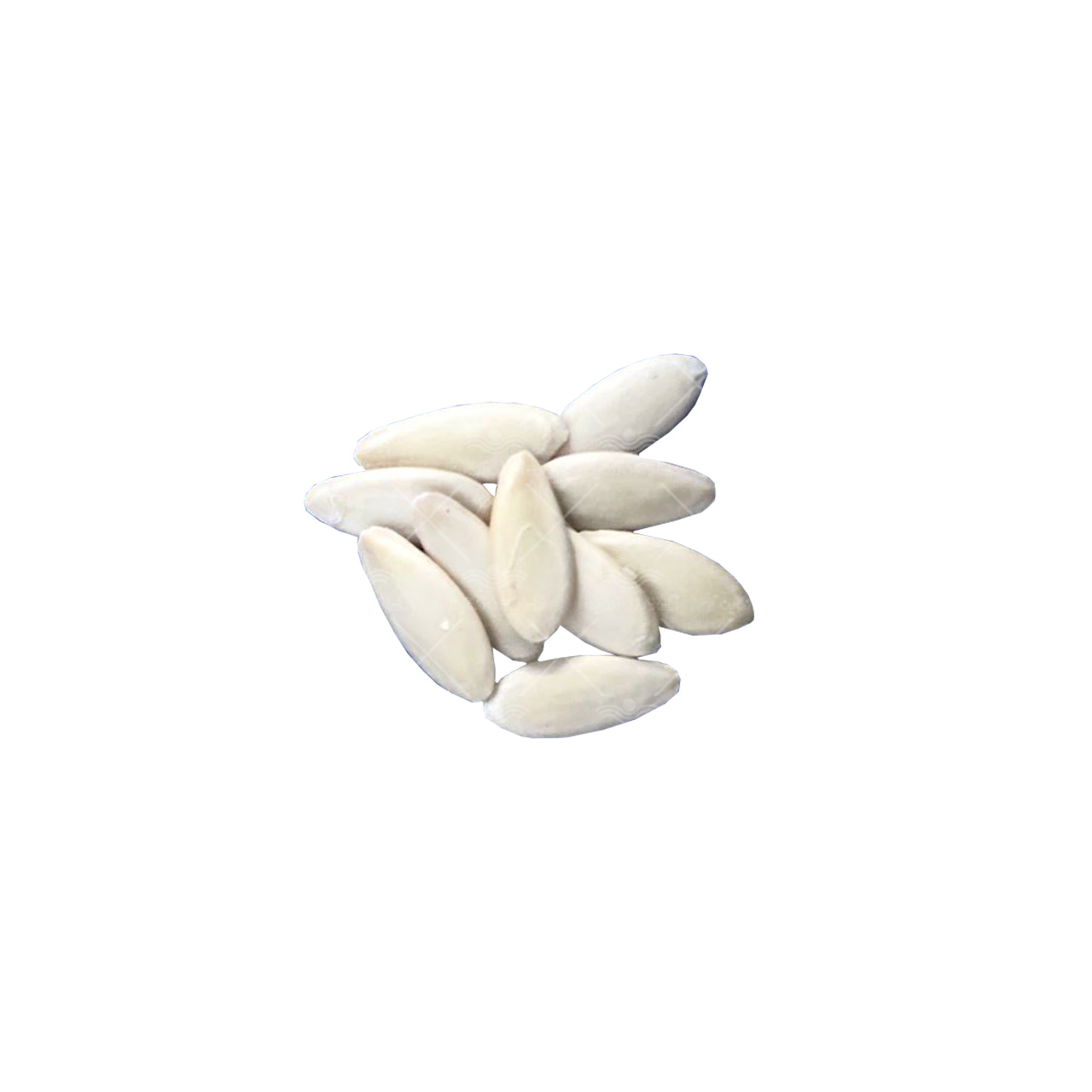 بذر خیار درختی پرگل گلخانه ای وزیر در بسته های خانگی 10 عددی 2