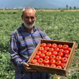 عکس کوچک بذر گوجه فرنگی فضای باز هیبرید نرو کره جنوبی 5000 عددی 2