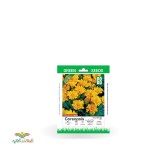عکس کوچک بذر خانگی گل شاه اشرفی سینا