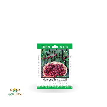 بذر خانگی چای ترش سینا