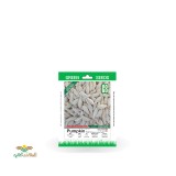 عکس کوچک بذر خانگی کدو آجیلی مشهدی سینا