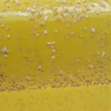 عکس کوچک رول زرد 30 سانتی رها اندیش کاوان 1