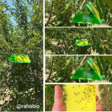 عکس کوچک تله دلتا زرد 4