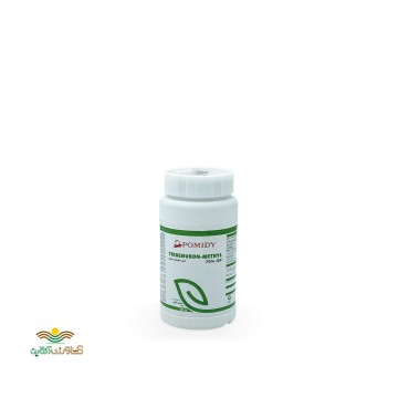 گران استار چین زرین سرشت