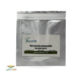 عکس کوچک فرومون چوبخوار پسته 5 عددی