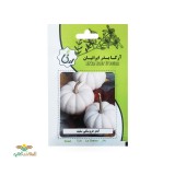 عکس کوچک بذر خانگی کدو عروسکی سفید آرکا بذر ایرانیان