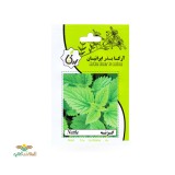 عکس کوچک بذر خانگی گزنه آرکا بذر ایرانیان
