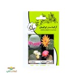 عکس کوچک بذر خانگی لوبی ویا کاکتوس آرکا بذر ایرانیان