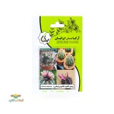 عکس کوچک بذر خانگی ژیمینو کالیوم کاکتوس آرکا بذر ایرانیان