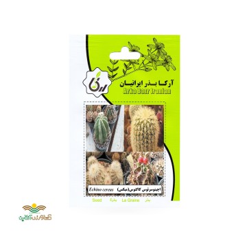 بذر خانگی اچینوسرئوس کاکتوس آرکا بذر ایرانیان