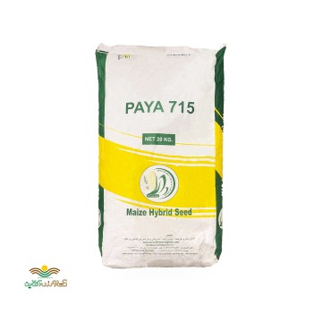 بذر ذرت علوفه ای هیبرید دو منظوره 715 سینگل کراس