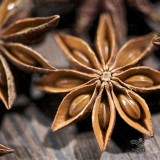 عکس کوچک بادیان رومی یا انیسون وانیاسید