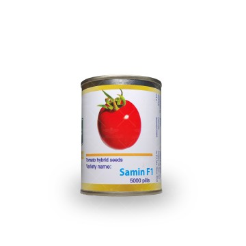 بذر گوجه فرنگی ثمین مشابه گوجه سانسید ۶١٨٩