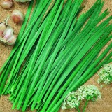 عکس کوچک بذر سبزی تره